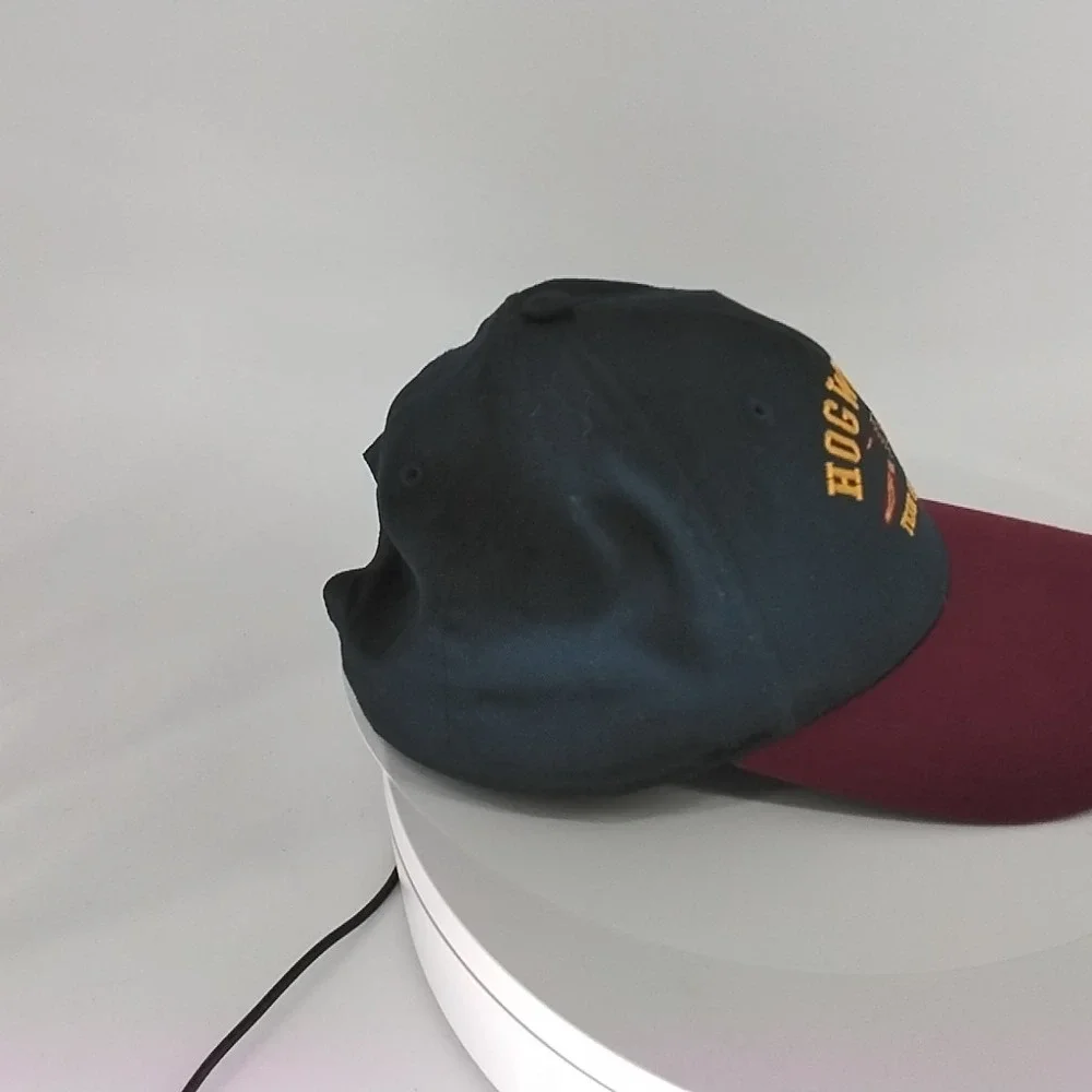 Harry‎ Potter Baseball Cap. Hogwarts. Quidditch Hat. Youth size